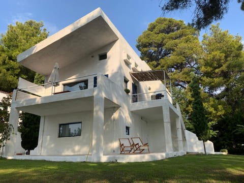 Property building, Day, Garden