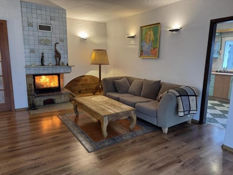 Living room, fireplace