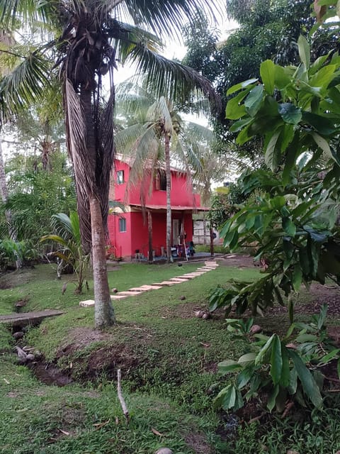 Natural landscape, Garden, Garden, Garden view