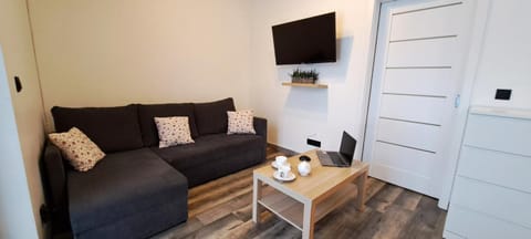 Communal lounge/ TV room, TV and multimedia, Balcony/Terrace, Living room