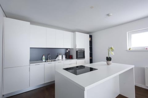 Coffee/tea facilities, oven, stove, kitchen