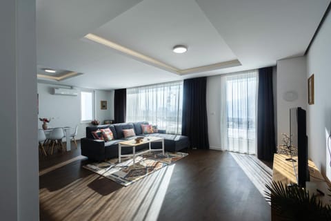 TV and multimedia, Living room, Seating area, air conditioner