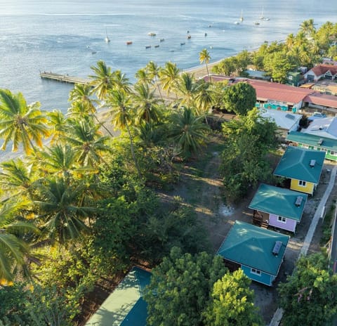Bird's eye view, Beach, Sea view