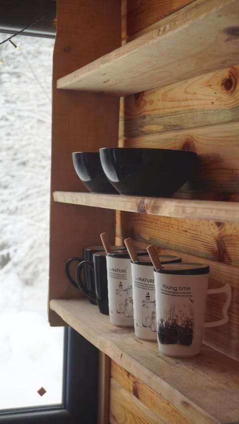 Star Cottage House in Zlatibor District, Serbia