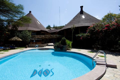 Day, Swimming pool
