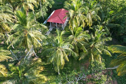 Natural landscape, Garden, Garden, Garden view