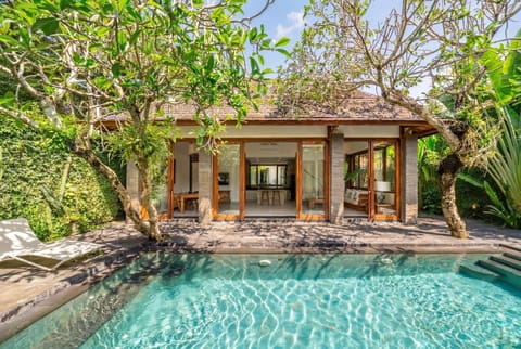 Property building, Garden, Garden view, Swimming pool