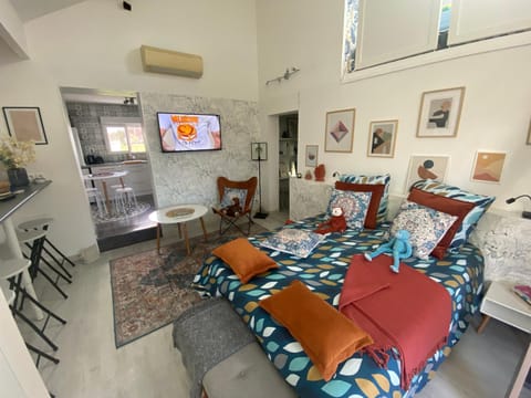 Photo of the whole room
