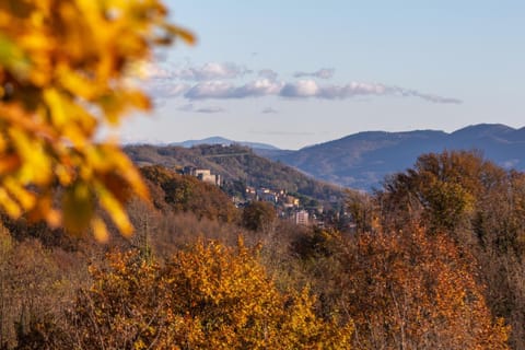 Natural landscape, Mountain view