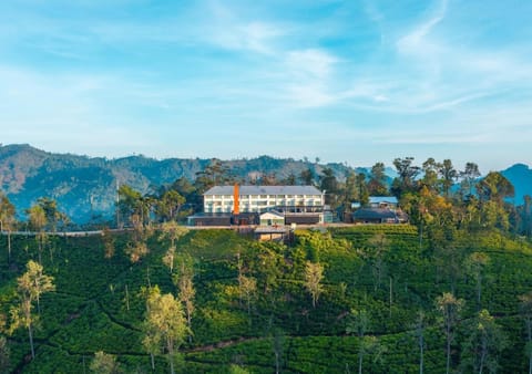 Property building, Bird's eye view
