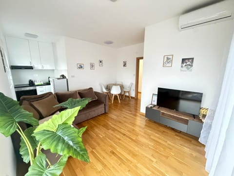Communal lounge/ TV room, TV and multimedia, Kitchen or kitchenette, Living room, Seating area, Dining area, Evening entertainment, minibar, oven, air conditioner