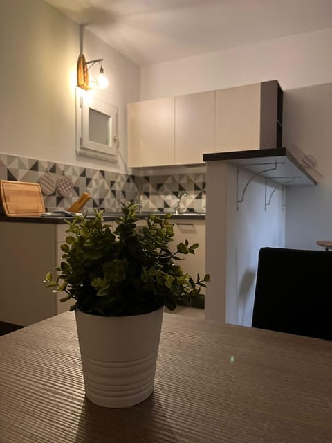 Calipso Apartment - Brand new! Apartment in Castiglione della Pescaia