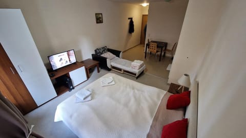 Communal lounge/ TV room, Bed, TV and multimedia, Photo of the whole room, Bedroom