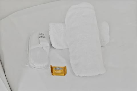 Bradenton Beach - Ocean View, Pool & Hot Tub House in Bradenton Beach