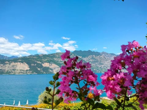Lake view