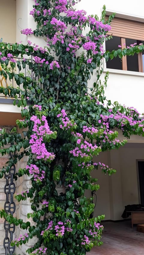 Charming Lake Garda Apartment Apartment in Torri del Benaco