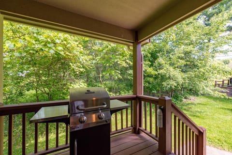 Mountain Hygge House in McHenry