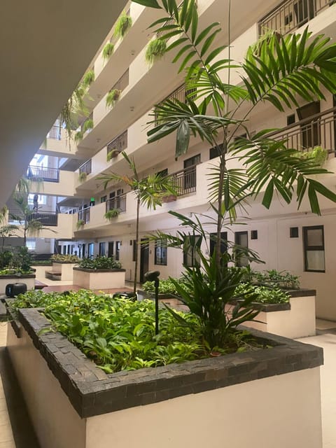 Property building, Garden, Garden view, Area and facilities
