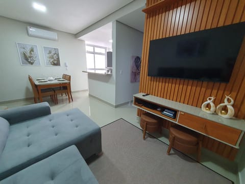 TV and multimedia, internet