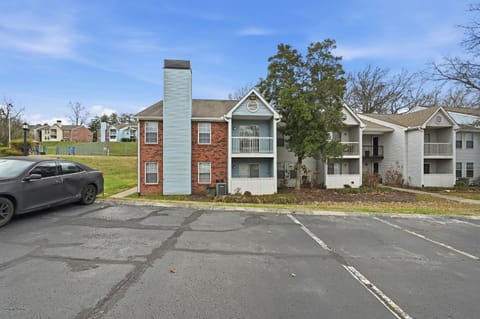 Charming apartment with fireplace & dining area Apartment in Hermitage