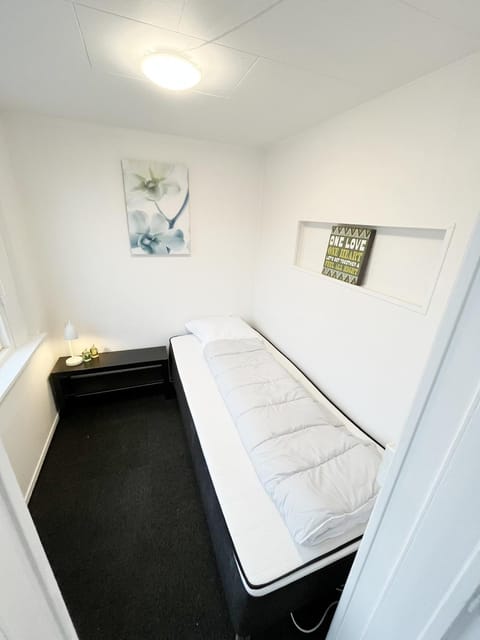 Cozy & Bright Central Townhouse with Free Parking Apartment in Aalborg