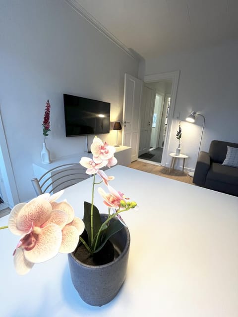 Cozy & Bright Central Townhouse with Free Parking Apartment in Aalborg