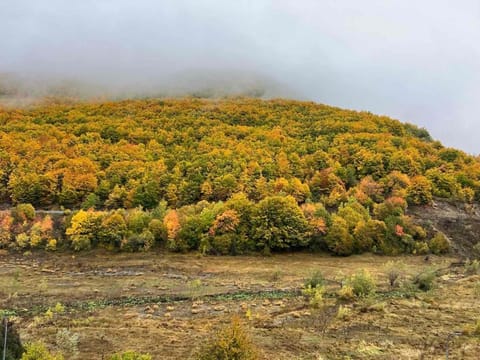 Vila Davidoski Villa in North Macedonia