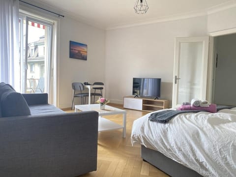 Cozy studio close to city center and train station Apartment in Lausanne