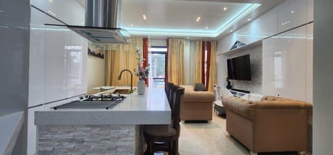 TV and multimedia, Kitchen or kitchenette, Living room, Seating area, Dining area, minibar, stove