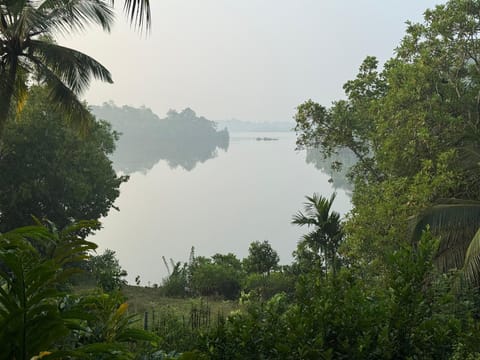 Lake view