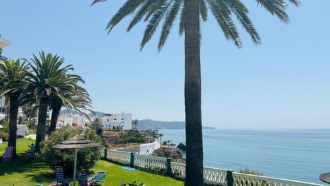 Day, Natural landscape, Garden, Garden view, Sea view