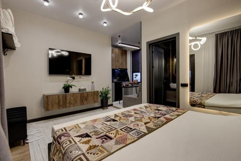 Bed, TV and multimedia, Photo of the whole room, Evening entertainment, Bedroom, towels, air conditioner
