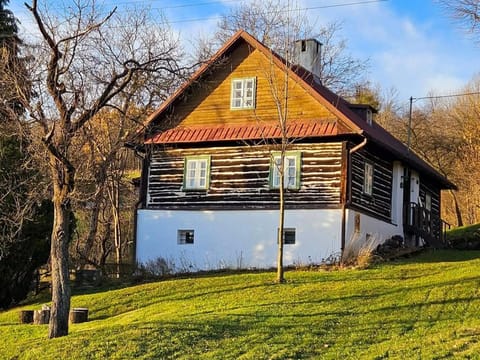 Property building, Spring, Day, Garden, Garden view