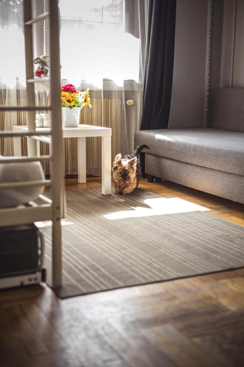 4 Couples Hostel Hostel in Krakow