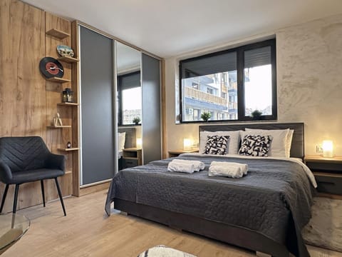 Bed, Living room, Photo of the whole room, Seating area, Bedroom