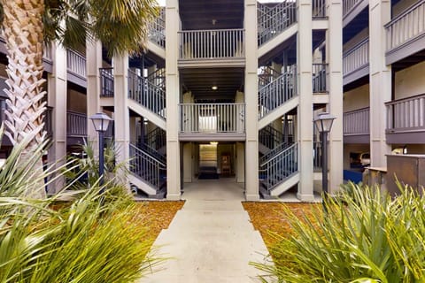 Property building, Day