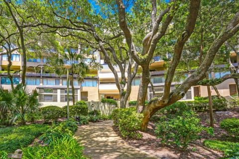 Property building, Day, Garden view