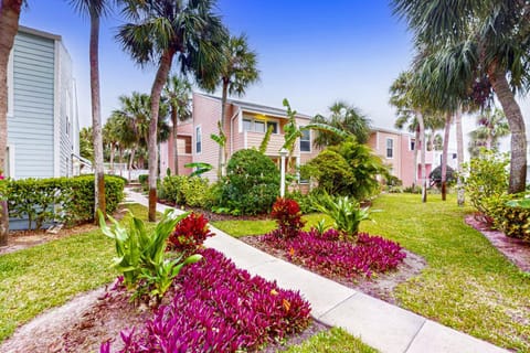 Property building, Day, Garden