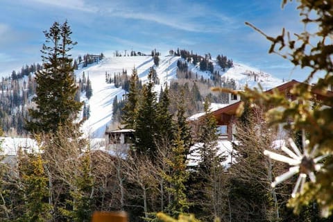 Abode at Black Bear 253 House in Deer Valley