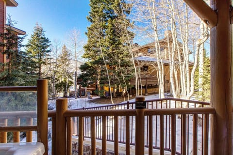 Abode at Black Bear 231 House in Deer Valley