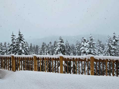 Hot Tub - Sleep 12 - EV Charger J1772 - Forest View - Pet Friendly House in Vancouver Island