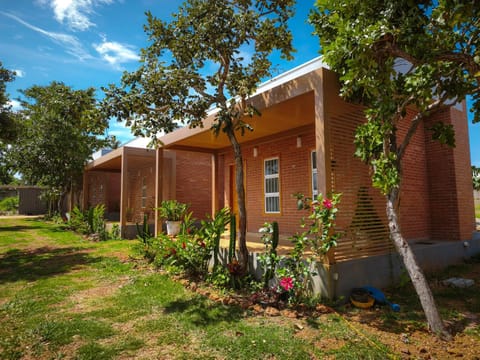 Property building, Garden, Garden view