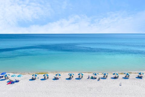 People, People, People, Natural landscape, Beach, Beach, Guests, Guests, Guests, children, children, children, young children, young children, young children, older children, older children, older children, group of guests, group of guests, group of guests, Family, Family, Family, sunbed, sunbed