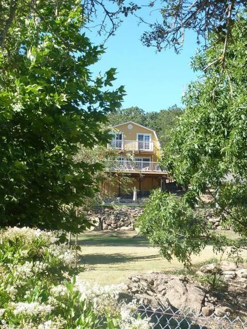 Casa Molino - A private escape with Vineyard views Villa in Napa Valley