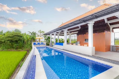 Day, Pool view, Swimming pool, Swimming pool