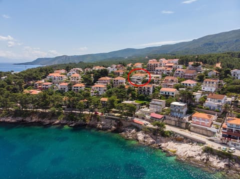 Bird's eye view, Beach