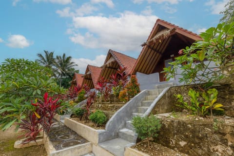 Property building, Garden