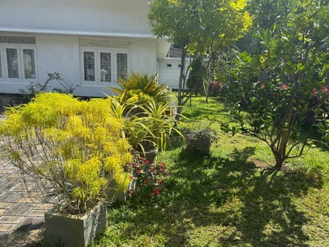 Garden, Garden, Garden view