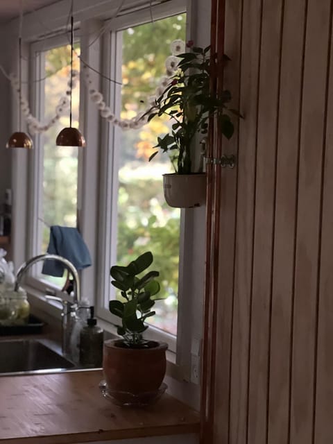 Tiny house close to Copenhagen Campground/ 
RV Resort in Zealand