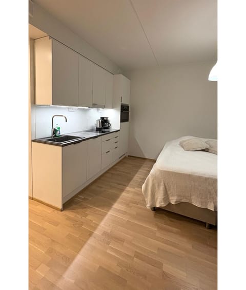 LuxHOMES Studio in Tapiola Apartment in Uusimaa
